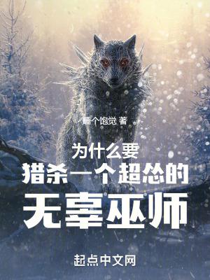 霍格沃茨从猎魔人归来的哈利