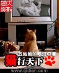 猫行天下传媒