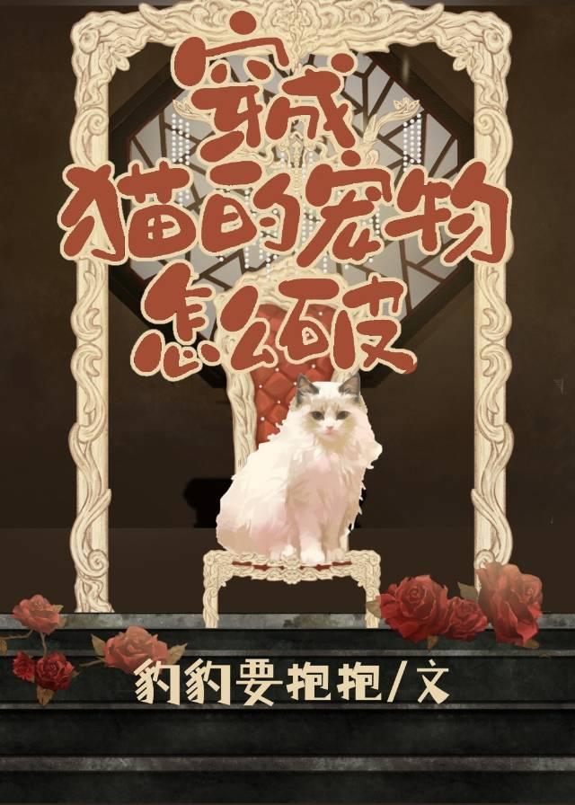 宠物市场怎么挑猫