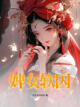 婢女难惹