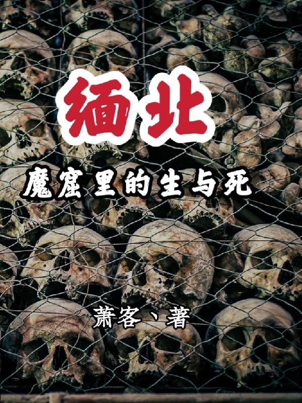 缅北魔窟里的生与死