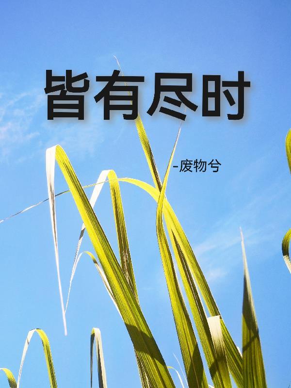 皆时什么意思