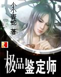 极品鉴定师txt全本