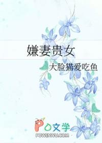 嫌妻贵女的意思是什么