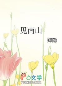 我见南山番外无弹窗笔趣阁