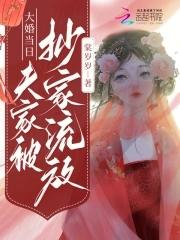 大婚当日夫家被抄家流放免费