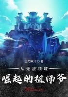 从无敌领域崛起的祖师爷笔趣阁