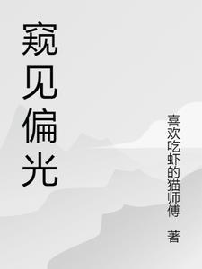 窥光by讲的什么