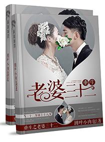 重生老婆三十二文婷心