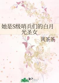 她是S级哨兵们的白月光圣女免费