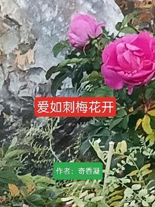 十一月刺梅花开几次花