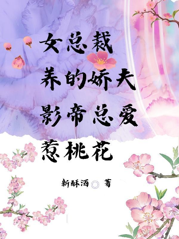 现代女总裁宠娇夫