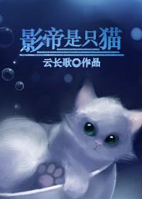 影帝是只猫剧透