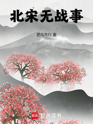 北宋无战事TXT