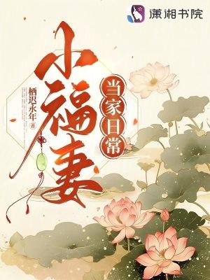 小福妻当家日常全文免费