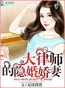 大律师小老婆