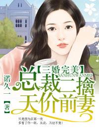 总裁的三婚妻子