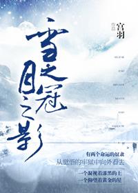 冠之雪原更新了什么