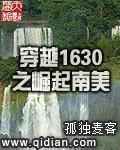 穿越1630之崛起南美TXT校对