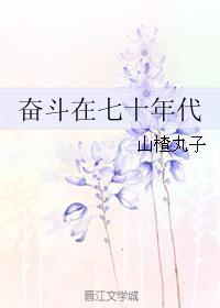 奋斗在七零年代末