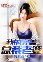 我的完美总裁老婆改编版