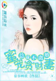 总裁逃妻蜜蜜宠