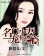 名门宠婚小甜妻