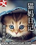 猫妈日记刘桂娟