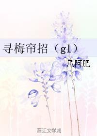 寻梅帘招gl txt