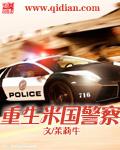 重生国内警察的