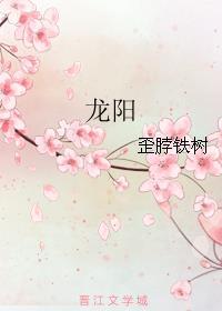 龙阳是什么意思呀