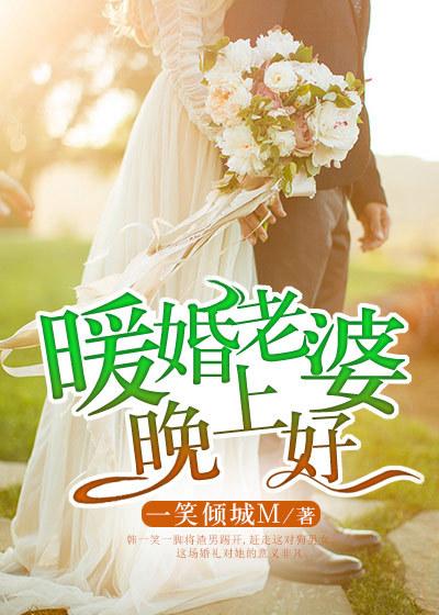 暖婚老婆晚上好听书