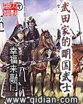 武田家的明国武士是什么