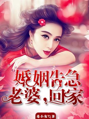 婚姻告急：老婆,回家